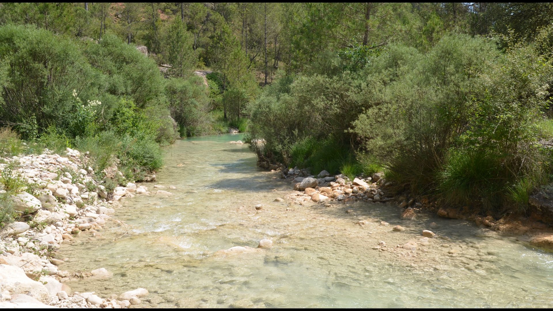 Casas de vacaciones en Cataluña - Región de Urgell y Lleida